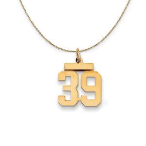 14k Yellow Gold, Athletic, Sm Polished Number 39 Necklace - 16 Inch